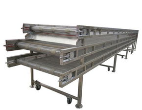 提升效率與品質 滎陽市成遠食品機械廠的餃子冷凍加工流水線與速凍隧道